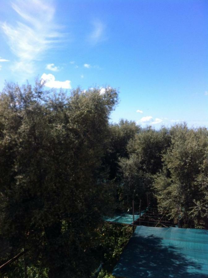 Casa Iolanda Villa Sorrento Esterno foto